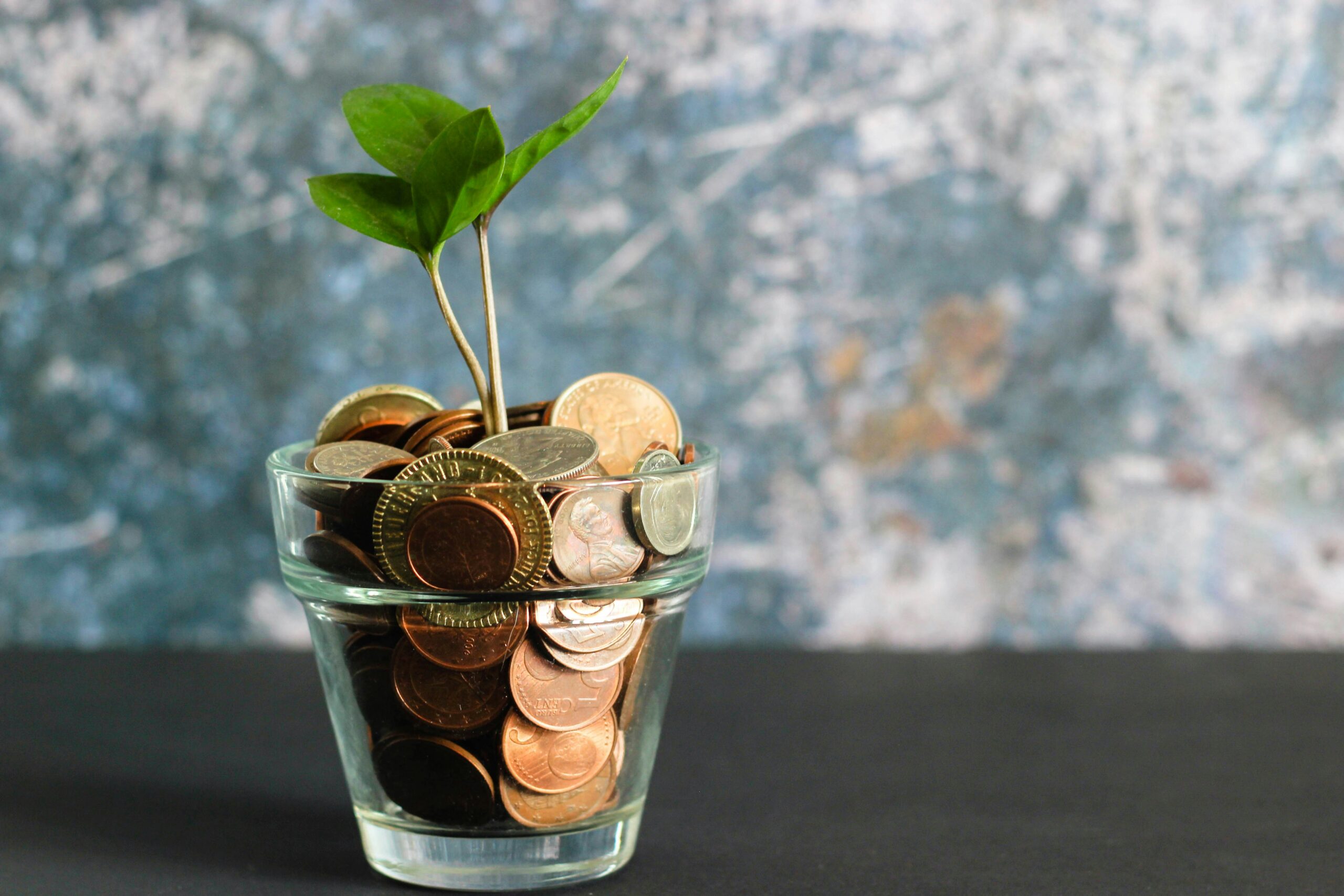 Financial Planning